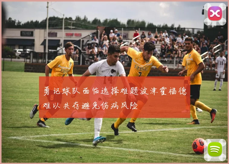 勇记球队面临选择难题波津霍福德难以共存避免伤病风险