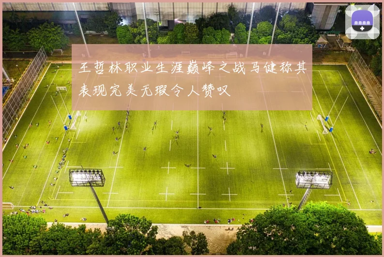 王哲林职业生涯巅峰之战马健称其表现完美无瑕令人赞叹